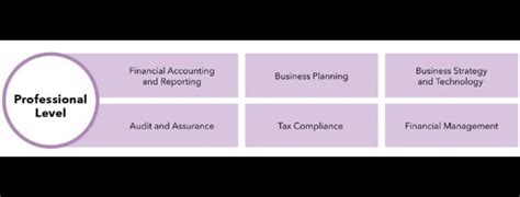 icaew professional exams.